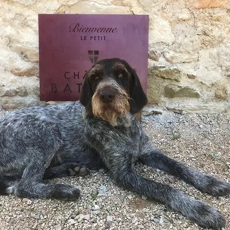 Chateau De Bataille Figeac